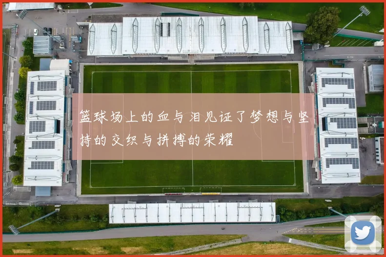 篮球场上的血与泪见证了梦想与坚持的交织与拼搏的荣耀