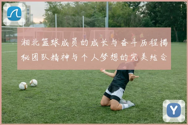 湘北篮球成员的成长与奋斗历程揭秘团队精神与个人梦想的完美结合