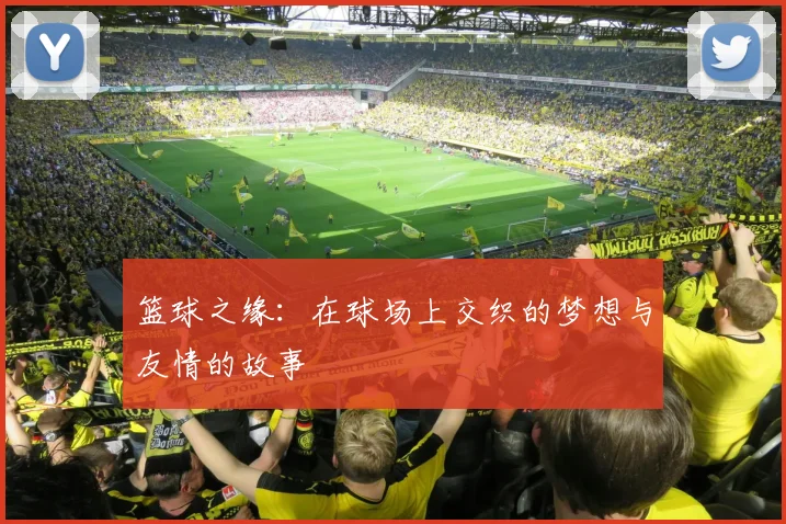 篮球之缘：在球场上交织的梦想与友情的故事